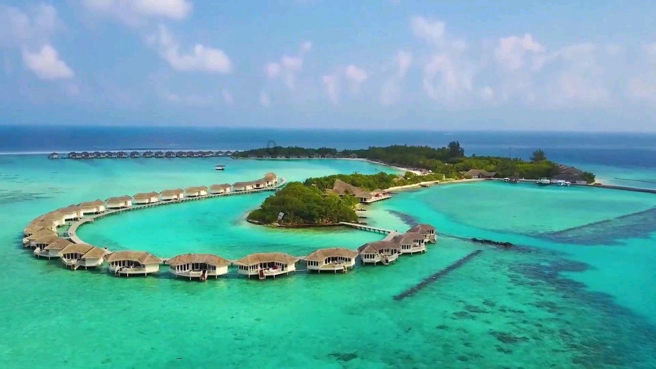 探索冷知识,尽在白长发蓝瞳什么动漫角色?平台